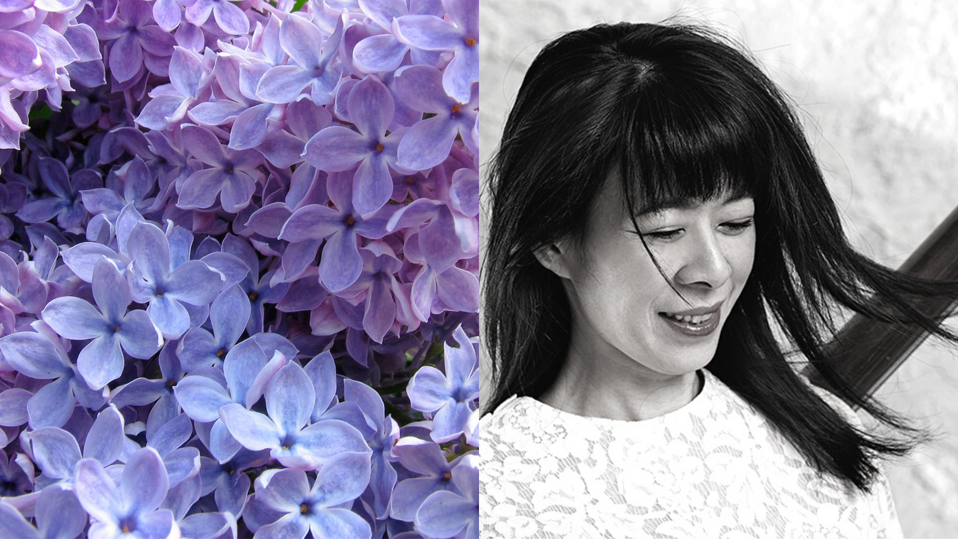 Lilac — STEPHANIE ANN BOYD